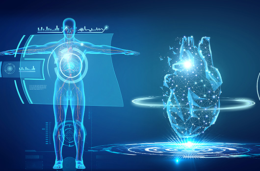 英国威廉集团官网